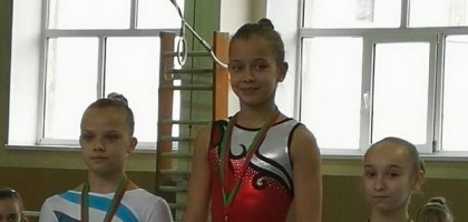 Чемпионат области по спортивной гимнастике – 2018