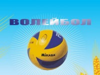 Спартакиаду «Колосок» по волейболу выиграли команды Гродненского района (юноши) и Лидского района (девушки)
