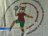 16-18 мая в Лиде в ФОКе «Олимпия» запланировано первенство Гродненской области по гандболу «Стремительный мяч»