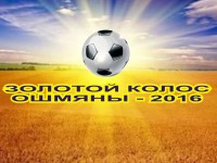 Определены победители чемпионата Гродненской области по футболу «Золотой колос» среди сельских жителей