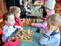 Учащиеся начальных классов Дятловского района впервые выступали на официальных соревнованиях
