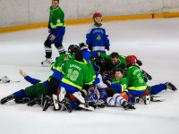 В финале «Золотой шайбы-2017» в старшей группе дивизиона «Б» хоккеисты из Дятлово стали обладателями бронзовых наград