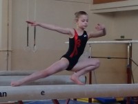 Определены победители Олимпийских дней молодежи Гродненской области по спортивной гимнастике-2017