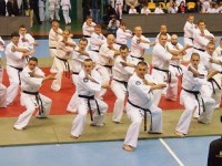 В Открытом чемпионате Гродненской области по каратэ приняли участие более 270 спортсменов