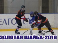 Матчами в дивизионе «Б» в Гродненской области завершилась хоккейная эпопея «Золотая шайба-2018»