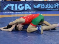 Спортсмены Гродненской области стали победителями юниорского первенства Республики Беларусь по борьбе вольной