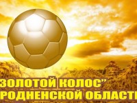 Команда Щучинского района выиграла финал Гродненской области по футболу «Золотой колос»