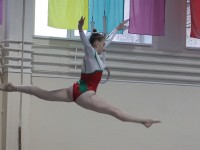 В число победителей первенства Республики Беларусь по спортивной гимнастике вошли команды Минска, Брестской и Гомельской областей