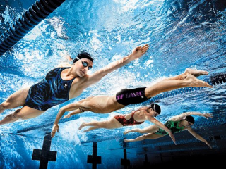 Спортсмены Гродненщины завоевали восемь медалей емпионата Беларуси по плаванию