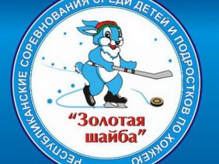 На Гродненщине стартует областной турнир по хоккею «Золотая шайба»
