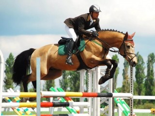 21-24 июня состоялся открытый Кубок Гродненской области по конкуру (конный спорт)