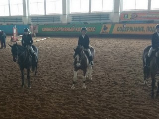 Чемпионатом Гродненской области открыт соревновательный сезон в конном спорте