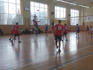 Неделя волейбола прошла в Гродненской области