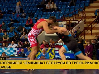 Спортсмены Гродненской области завоевали серебро чемпионата Республики Беларусь по греко-римской борьбе