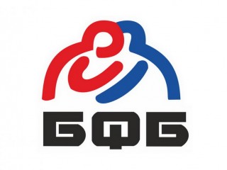 Мужская сборная команда Гродненской области выиграла первенство Республики Беларусь по вольной борьбе