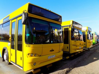 Два автобуса по выходным: из Гродно возобновляются рейсы на Августовский канал