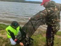 В Гродненской области открыт сезон по спортивному лову рыбы донной удочкой методом фидер